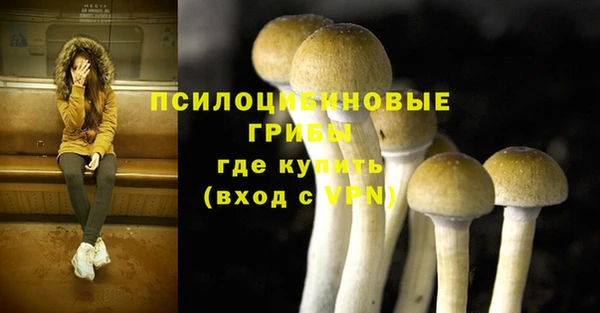 а пвп мука Абдулино